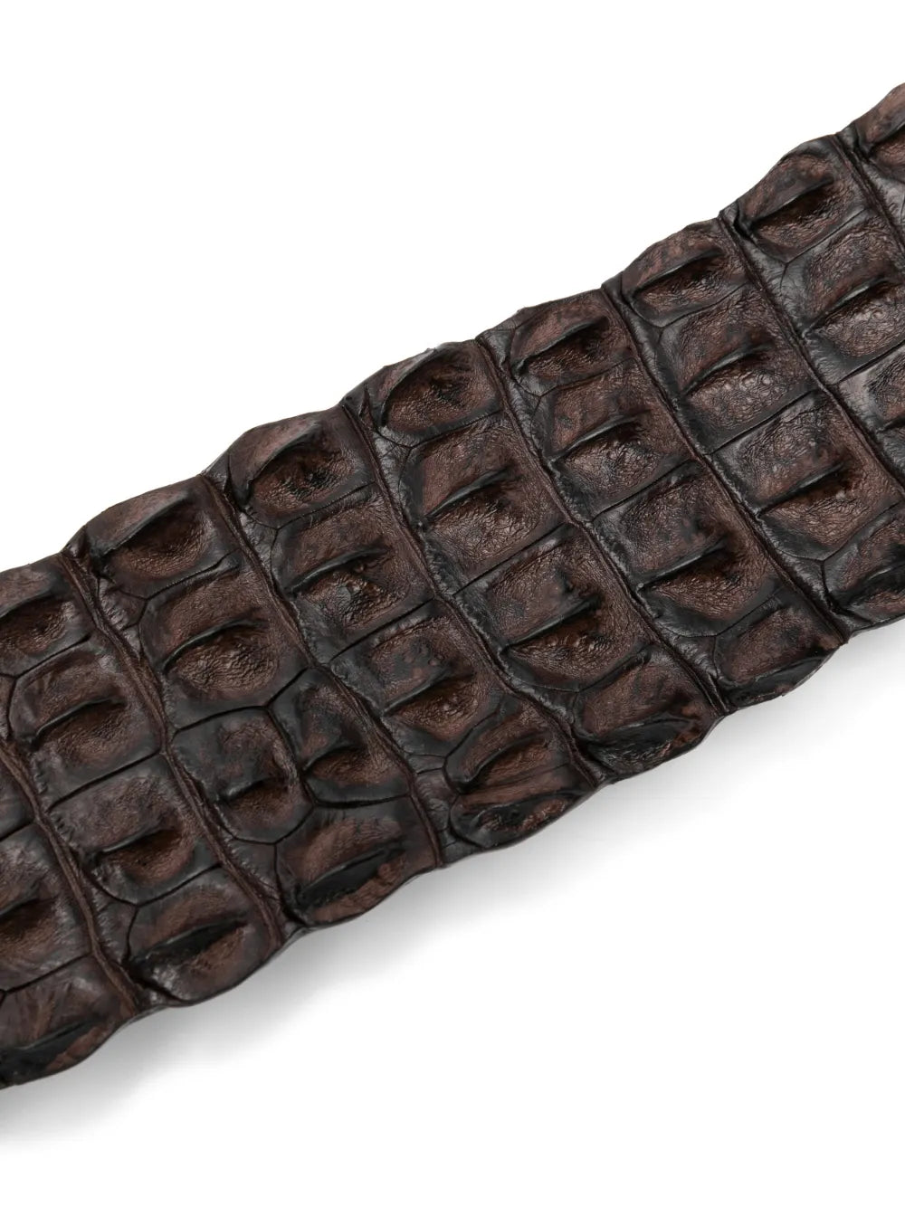 Cinturón COCOXL Marrón, elaborado en piel auténtica de cocodrilo con relieve natural y acabado en marrón oscuro.