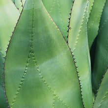 Cargar imagen en el visor de la galería, Bolso Maguey Añil